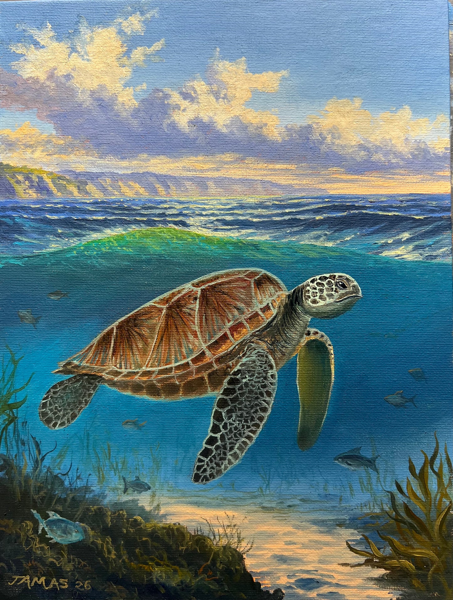 Sea Turtle