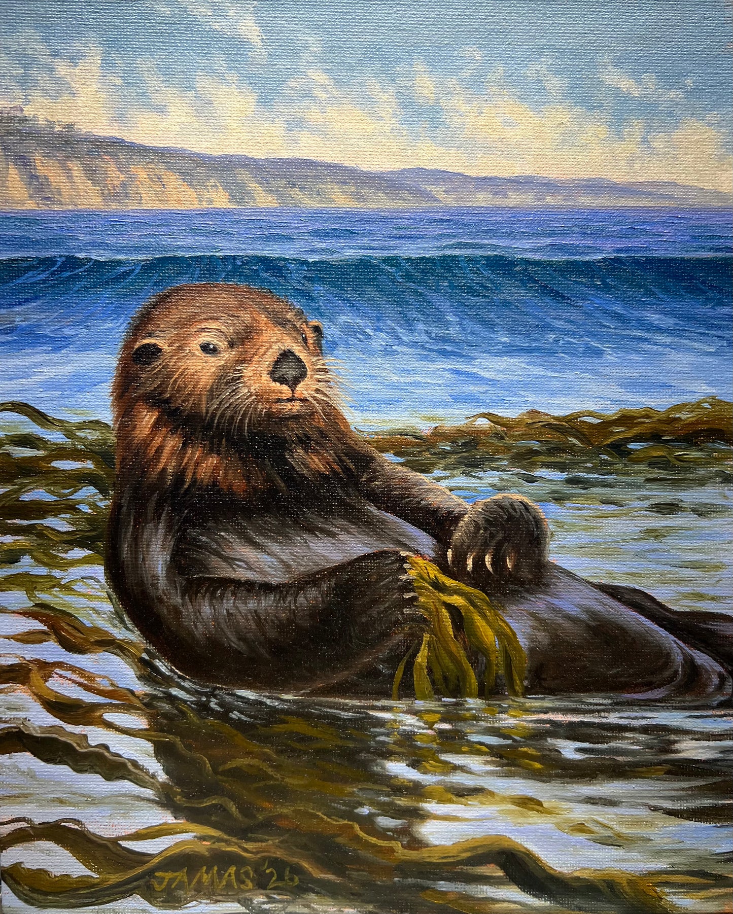 Otter in the Kelp