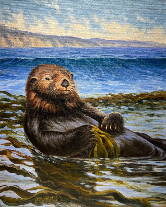 Otter in the Kelp