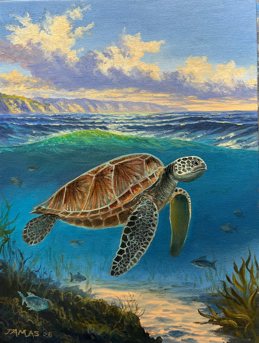 Sea Turtle