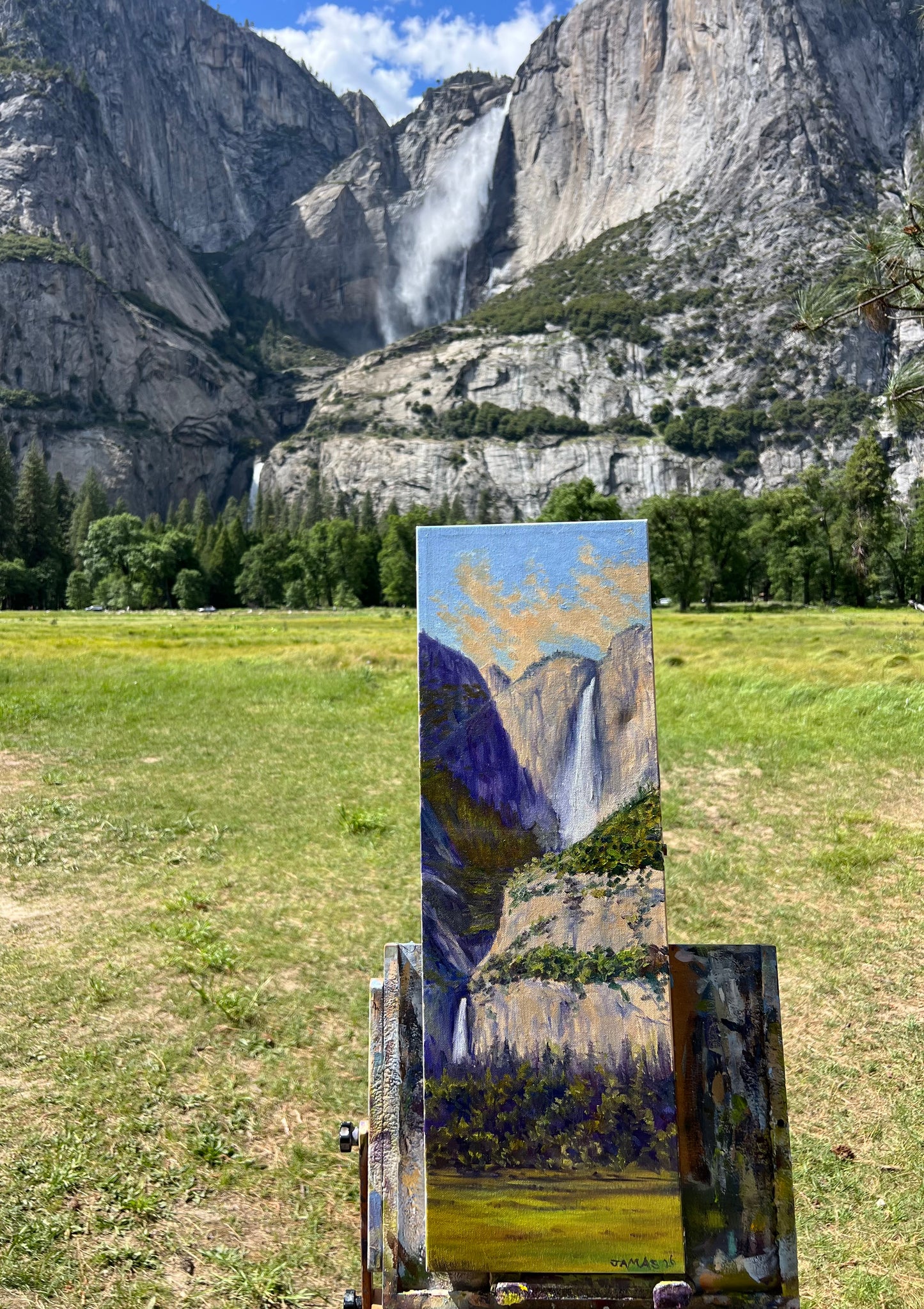Cooks Meadow Falls View