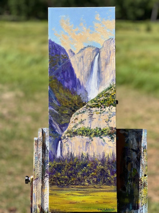 Cooks Meadow Falls View