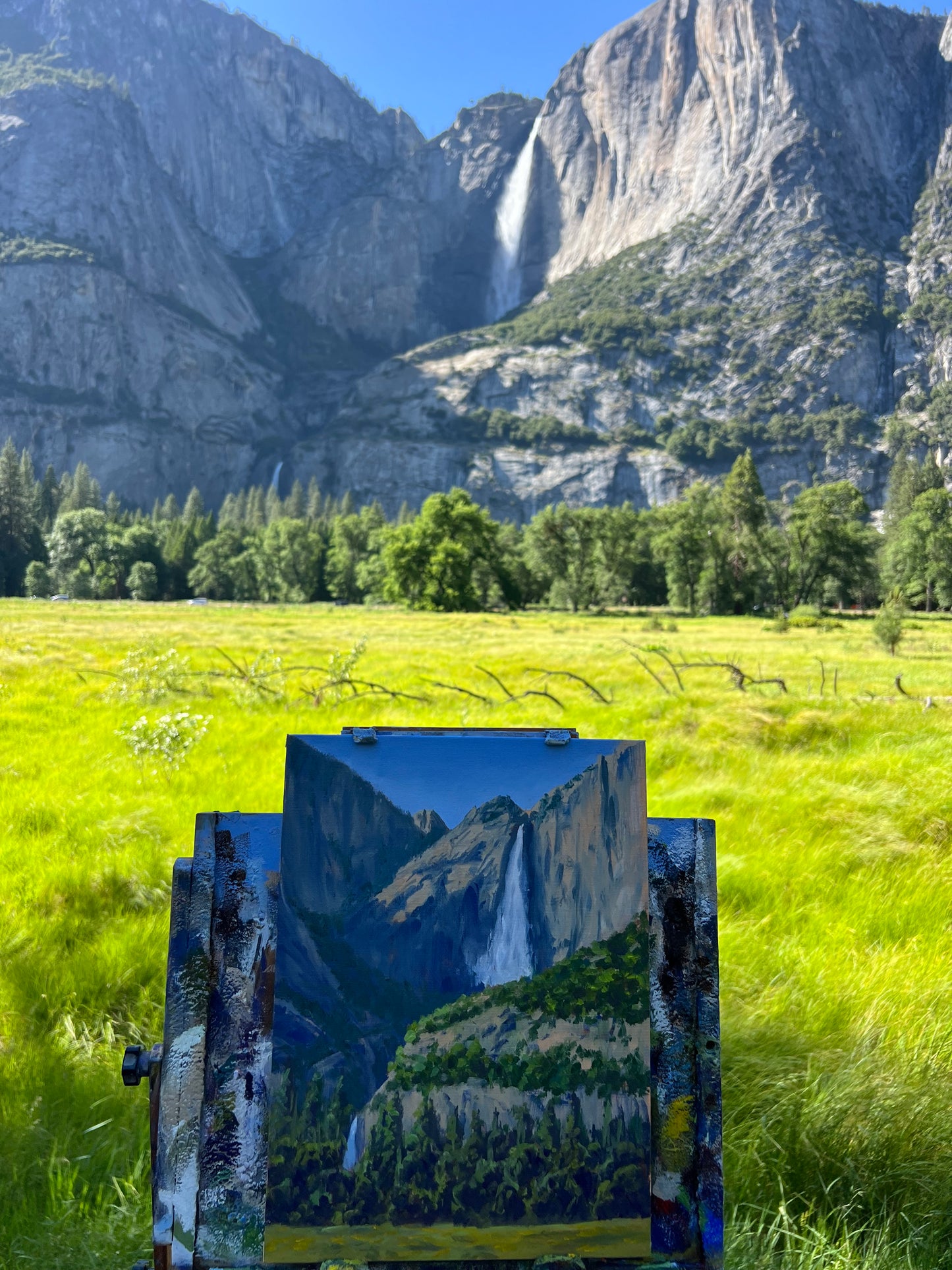 Yosemite Falls in the Shadows